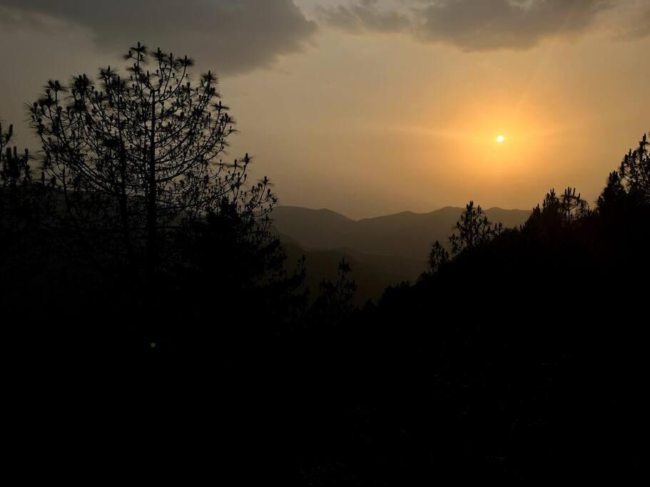 Residence Inn Homestay Shimla Buitenkant foto
