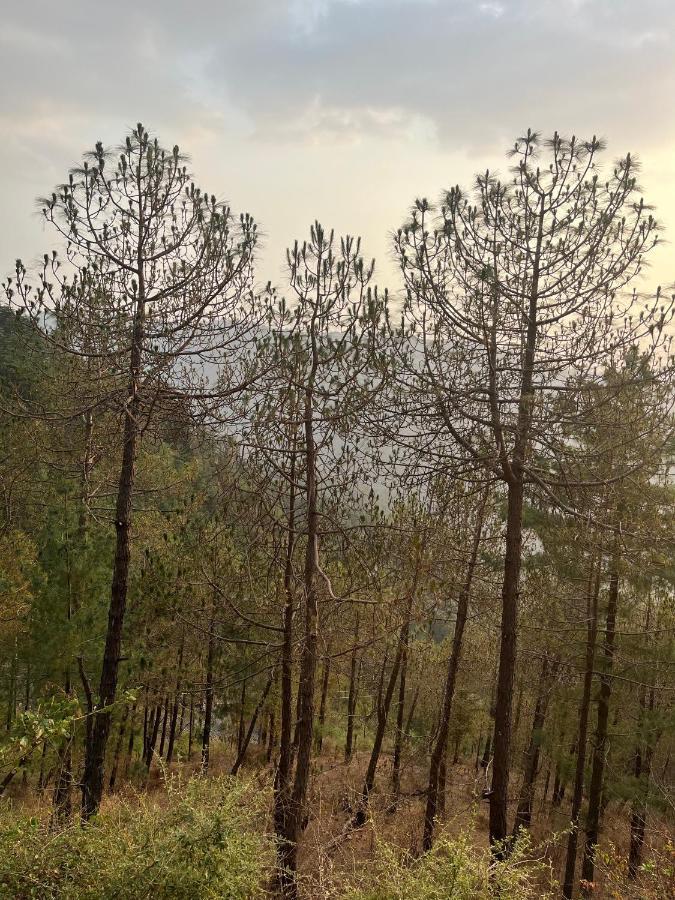 Residence Inn Homestay Shimla Buitenkant foto