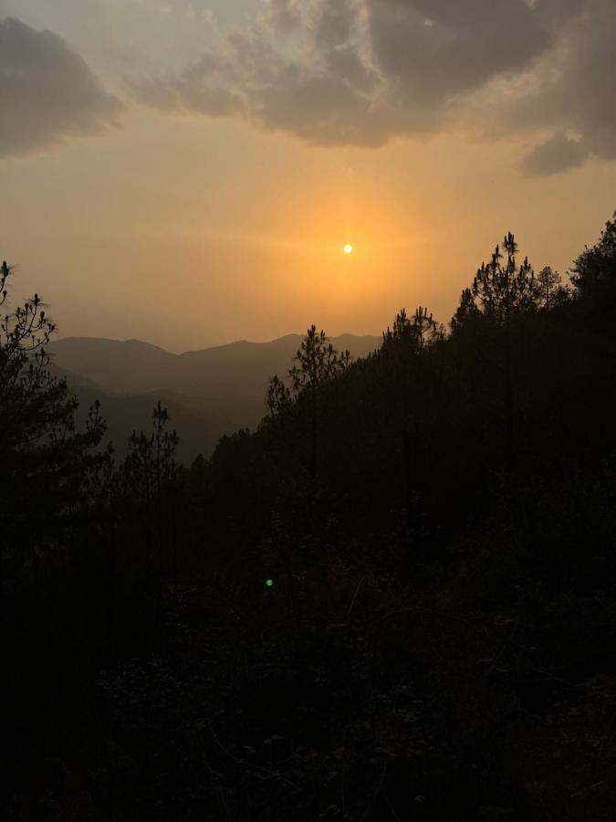 Residence Inn Homestay Shimla Buitenkant foto